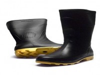 Bota de Borracha